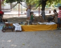 parco_europa_1