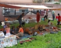 mub_2011_semirurali_4
